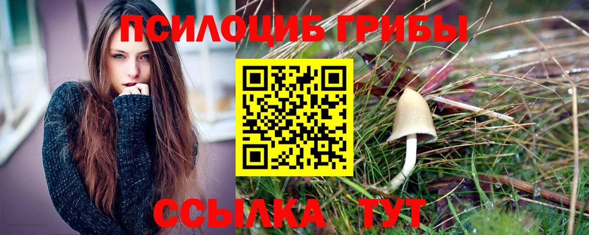Абакан  Псилоцибиновые грибы Psilocybe  цены   Вход с VPN 