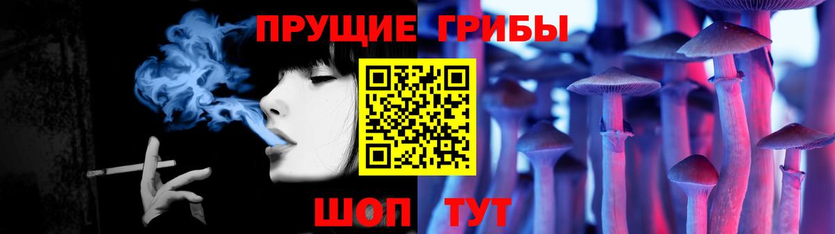 Псилоцибиновые грибы GOLDEN TEACHER Абакан